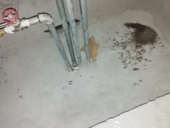 奉节卫生间测漏水价格明细