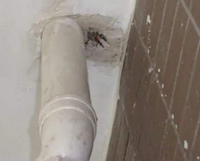 奉节漏水检测哪家好